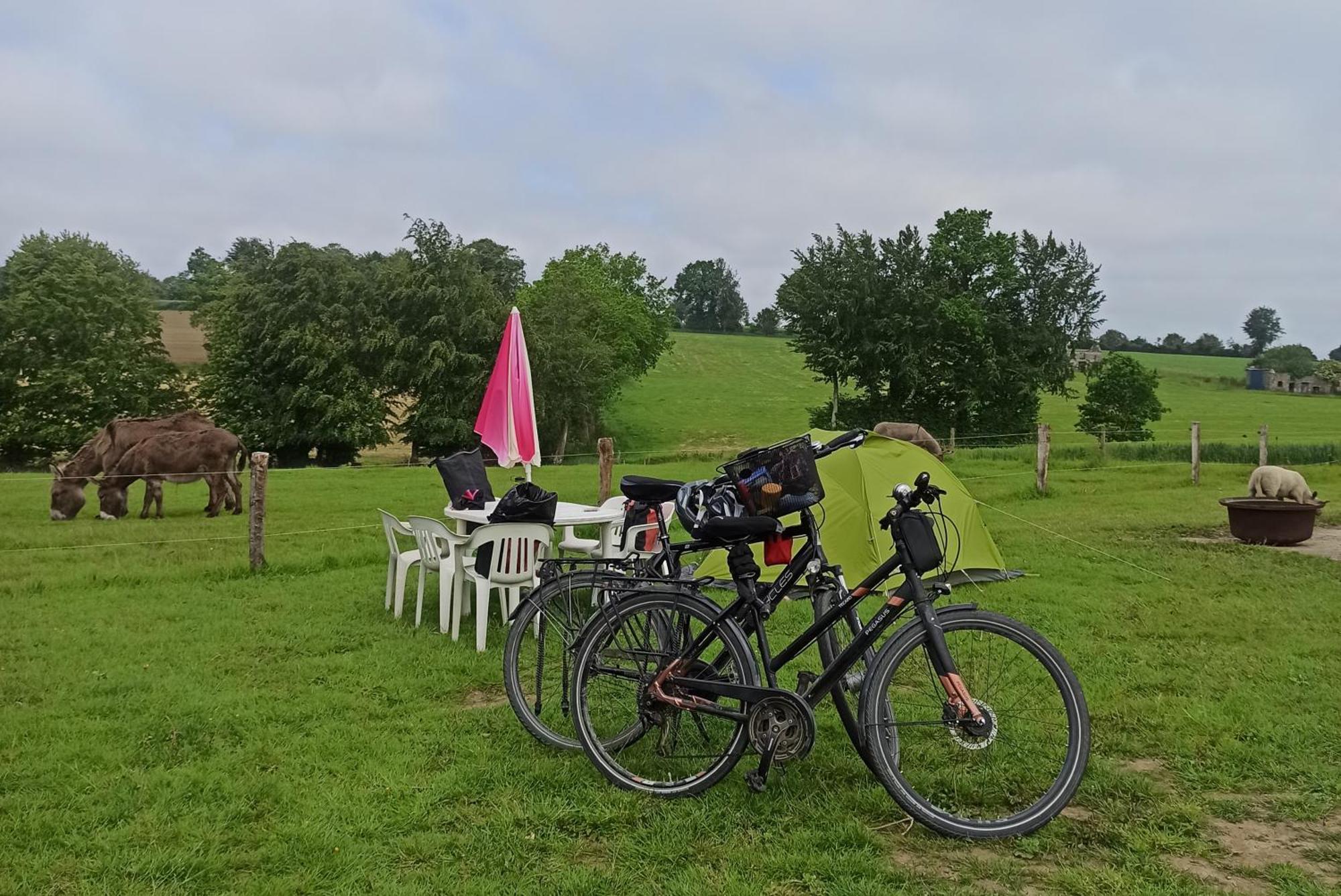 La Billardiere Camping A La Ferme Le Menil-Ciboult Ngoại thất bức ảnh