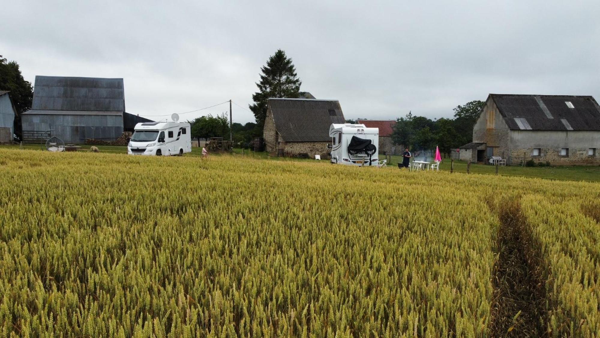 La Billardiere Camping A La Ferme Le Menil-Ciboult Ngoại thất bức ảnh