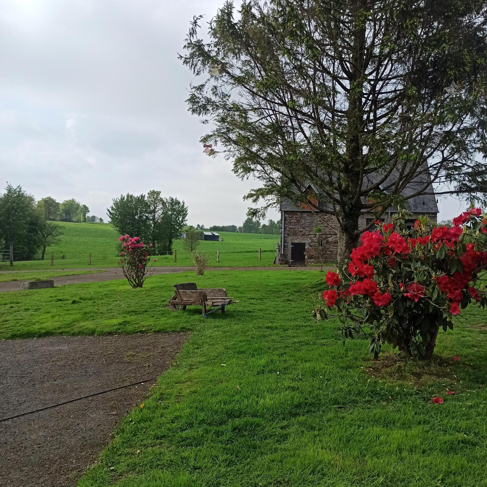 La Billardiere Camping A La Ferme Le Menil-Ciboult Ngoại thất bức ảnh