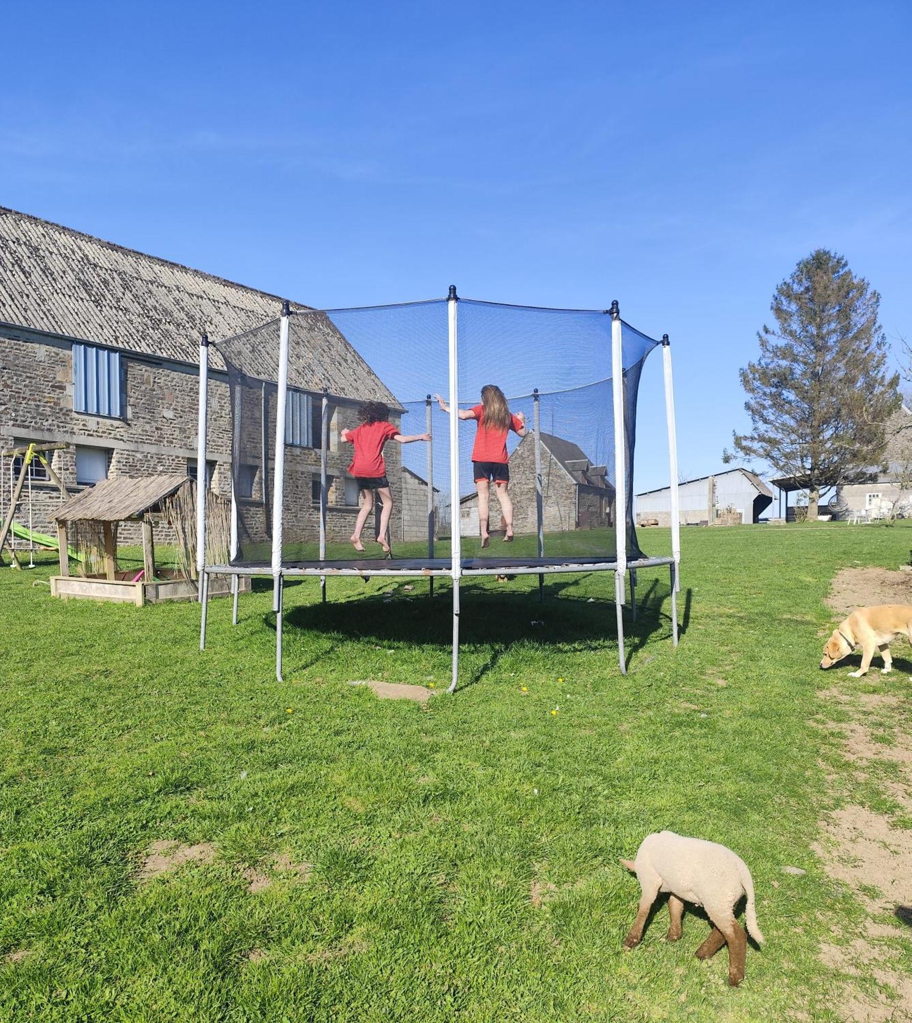 La Billardiere Camping A La Ferme Le Menil-Ciboult Ngoại thất bức ảnh